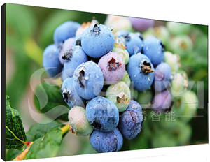液晶拼接屏出現(xiàn)色差應(yīng)該如何維修？